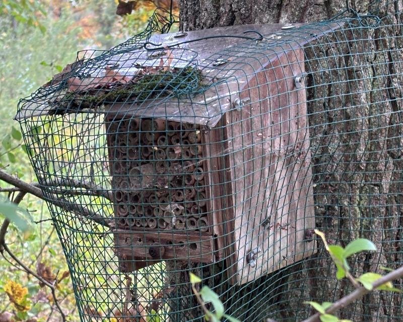 Accueil de la faune